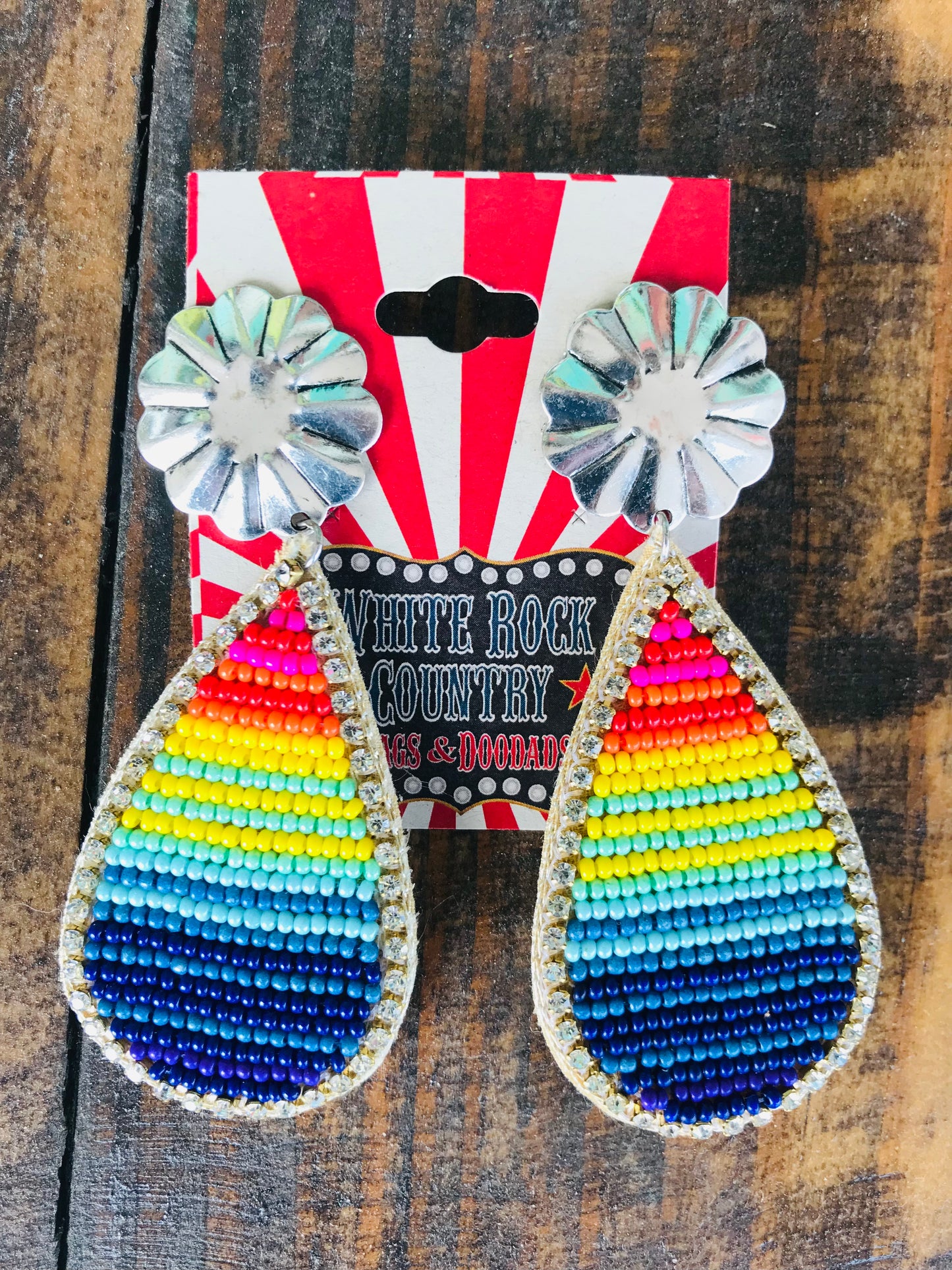 Serape Beaded Earrings