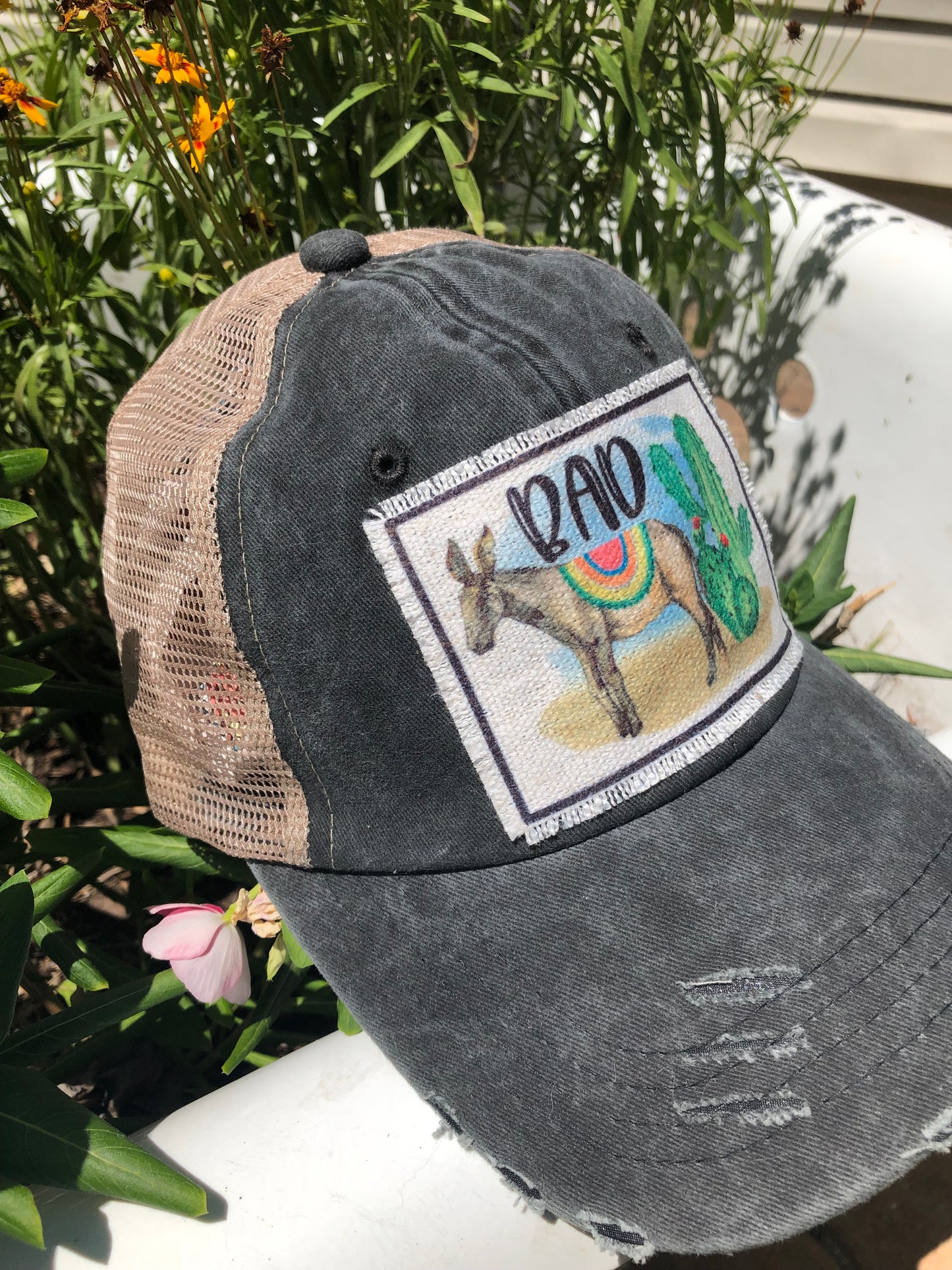 Donkey Cactus Baseball Cap
